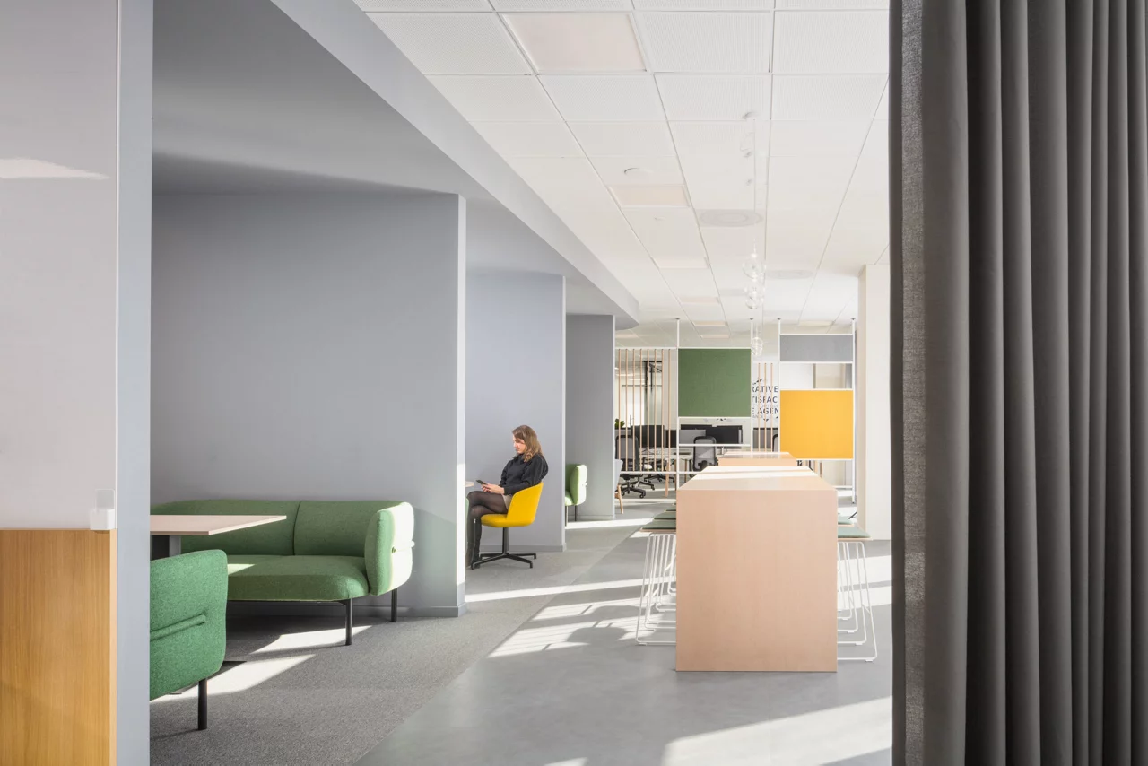 Modern  office space, furniture and greenery
