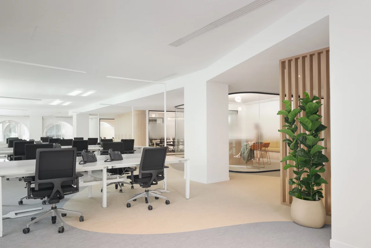 Modern  office space, furniture and greenery