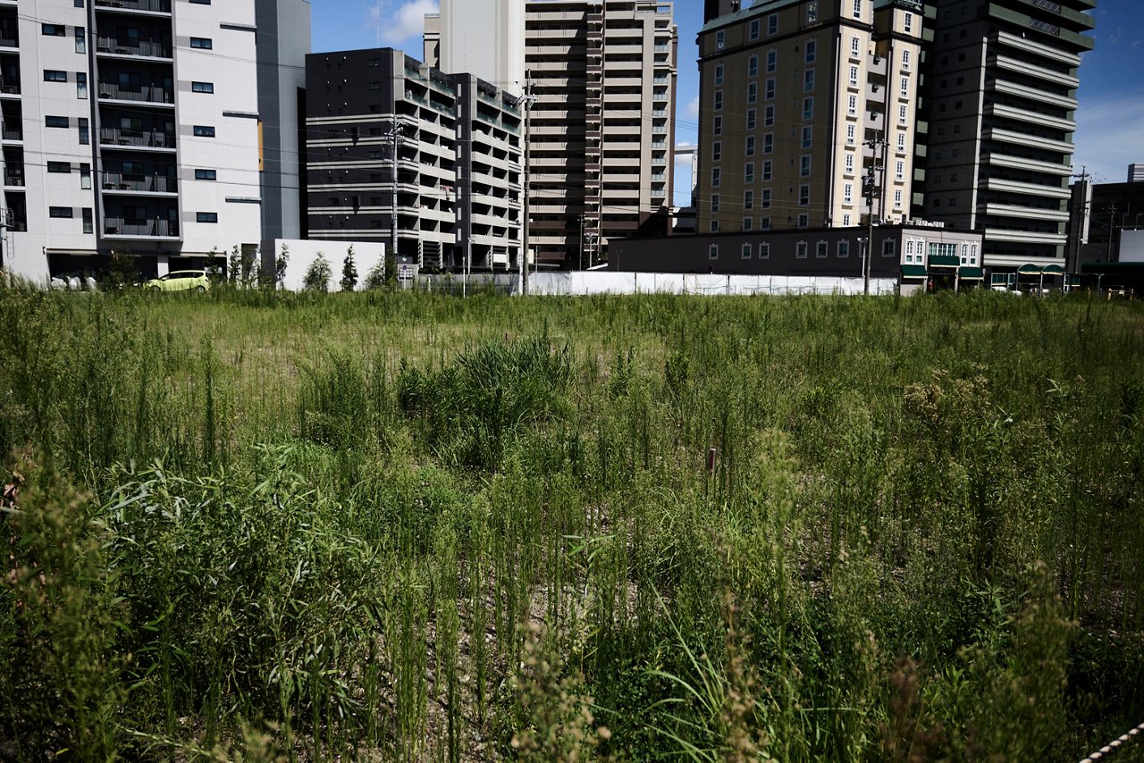 収益化が難しい遊休地