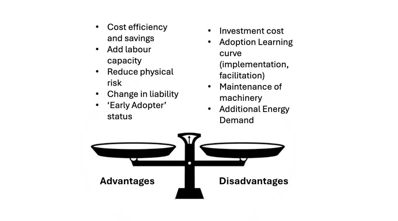 Cost efficiency advantages and disadvantages 