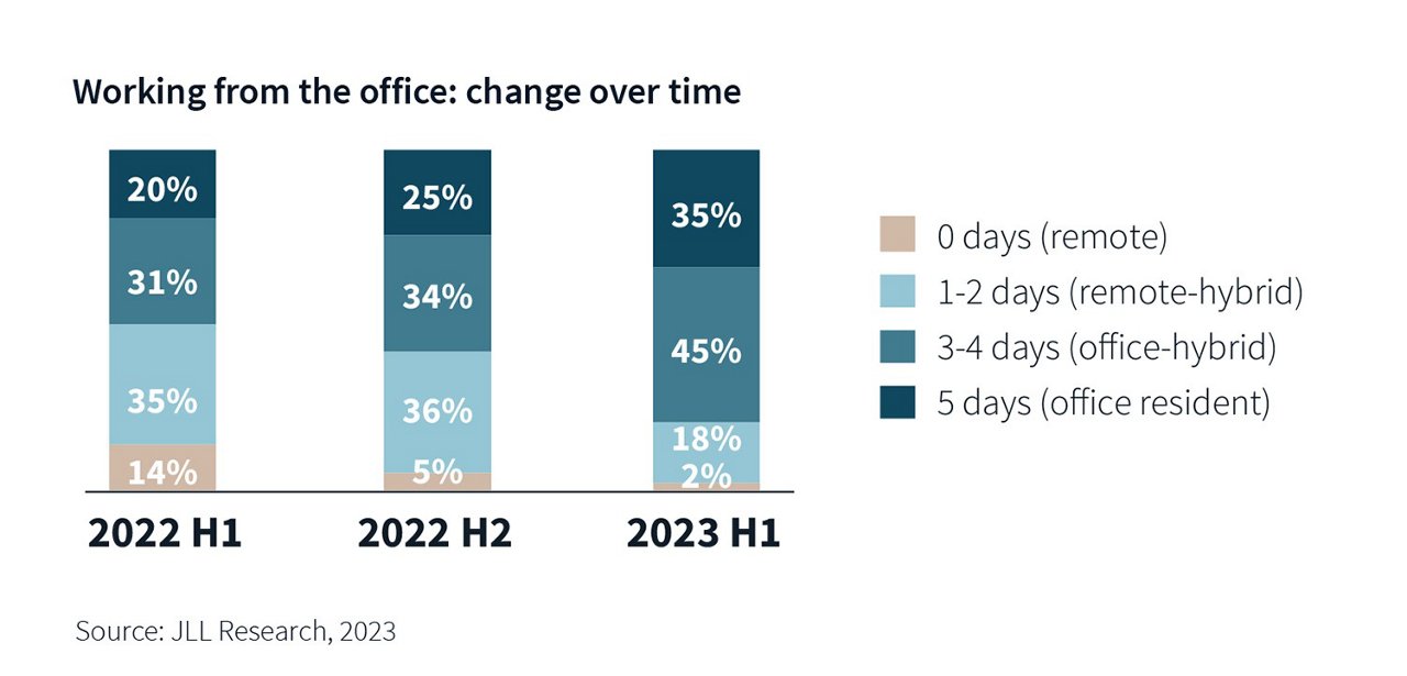 infographic image