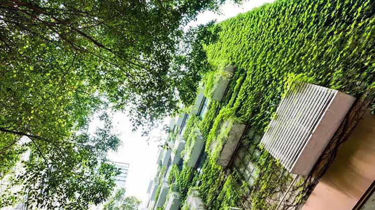 does-chinas-green-buildings-exist-in-lease-and-sale-premium-inline02