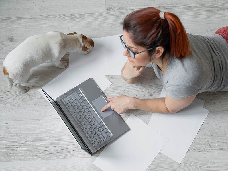 jll-a-growing-number-of-pet-friendly-offices-allow-employees-to-work-with-cats-and-dogs-teaser-800x600.