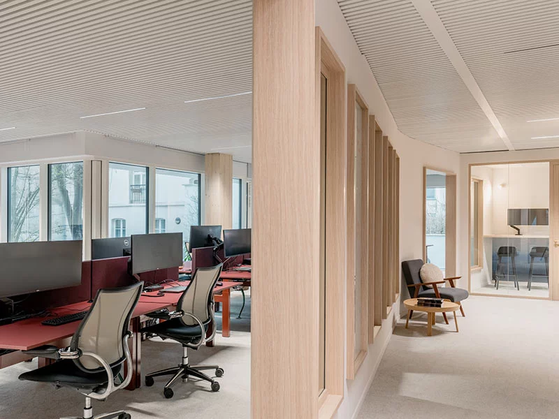Modern office workspace with wooden partitions, ergonomic chairs, computer workstations, and natural light from large windows.