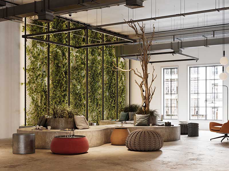 Plants displayed in hall