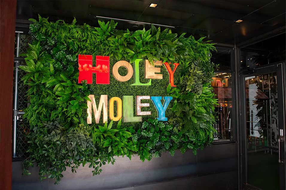 Holey Moley