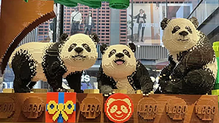 panda