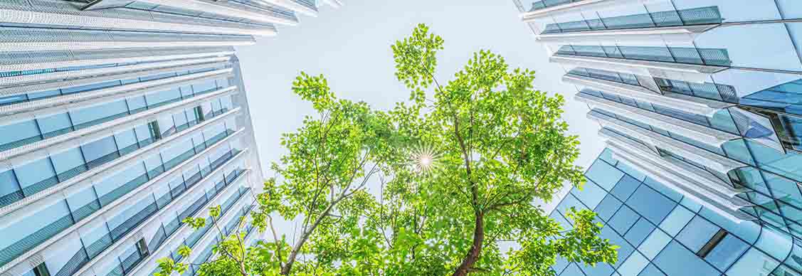 Trees