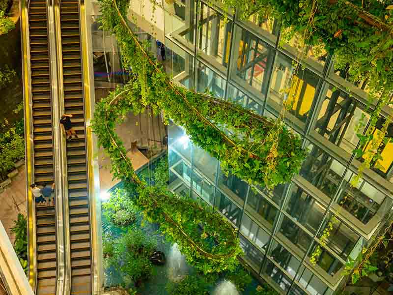 Building with green plants