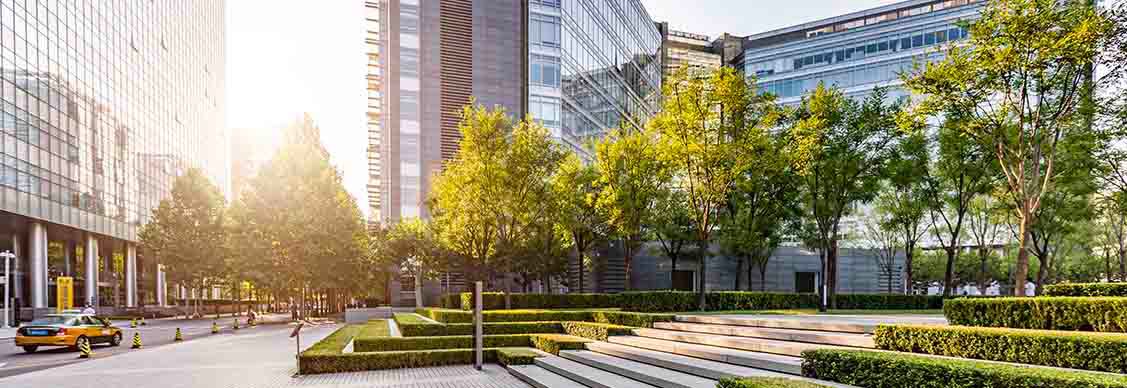 Trees and buildings
