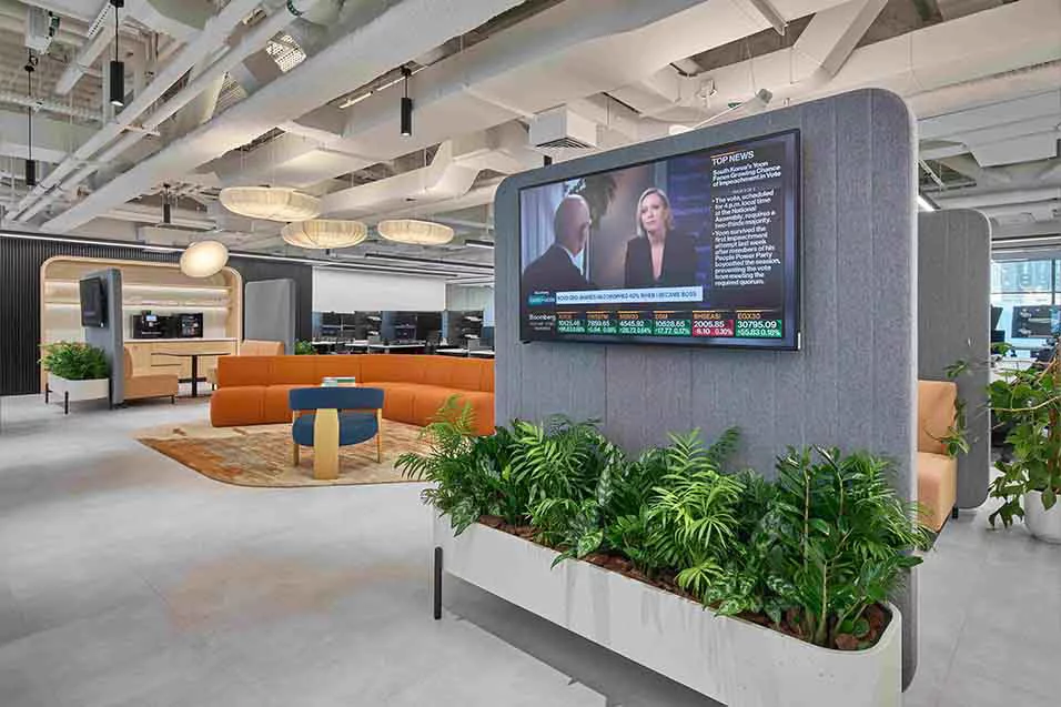 An office featuring a large television and various indoor plants, creating a modern and inviting workspace atmosphere.