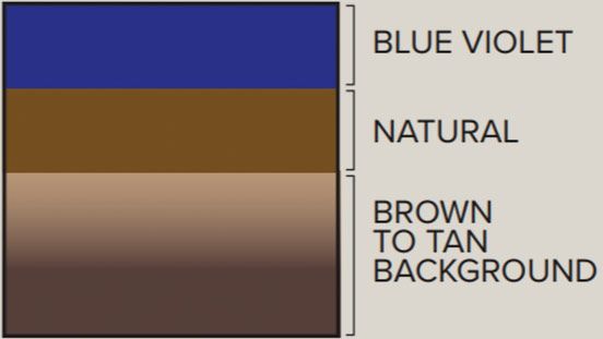 image of the blue violet hair color chart