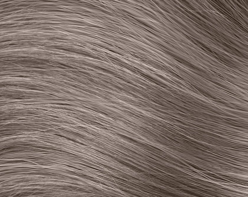 image of a swatch of hair