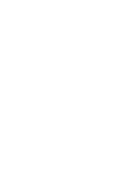 The Demi logo