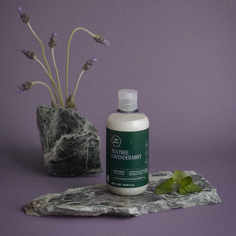 a bottle of Tea Tree Lavender Mint Moisturizing Conditioner
