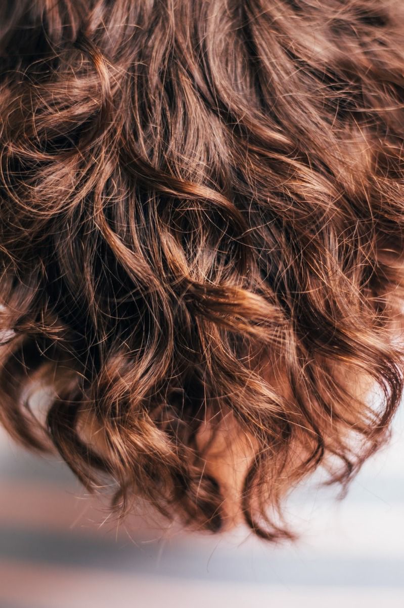 a close-up view of healthy-looking curly brown highlighted hair