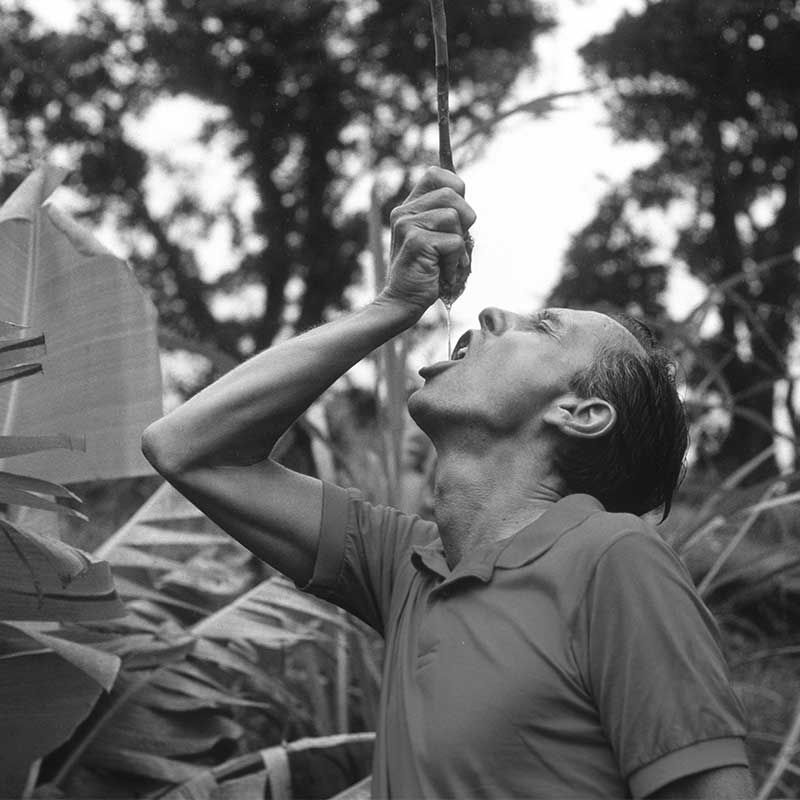 image of the Paul Mitchell squeezing juice from an awapuhi plant