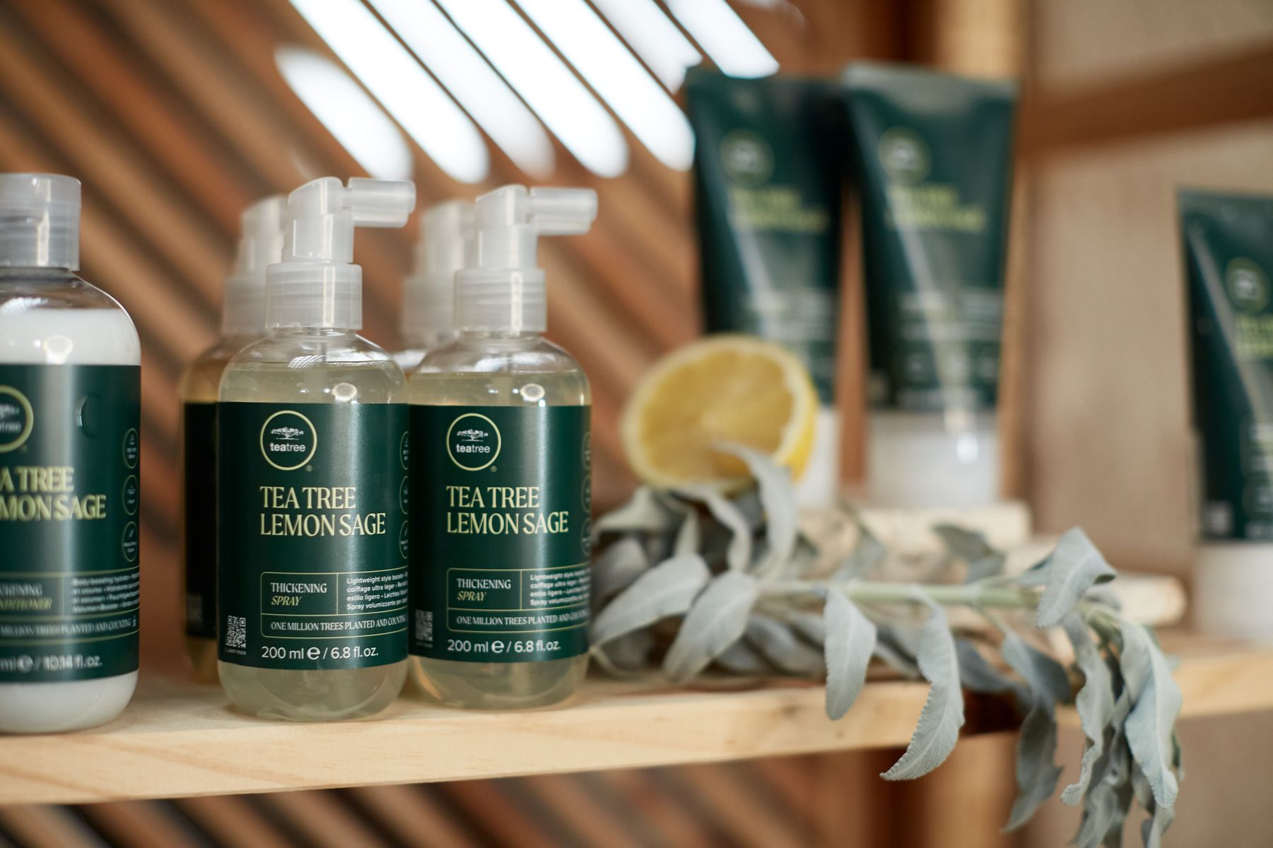 artistic image of Tea Tree Lemon Sage Thickening Spray