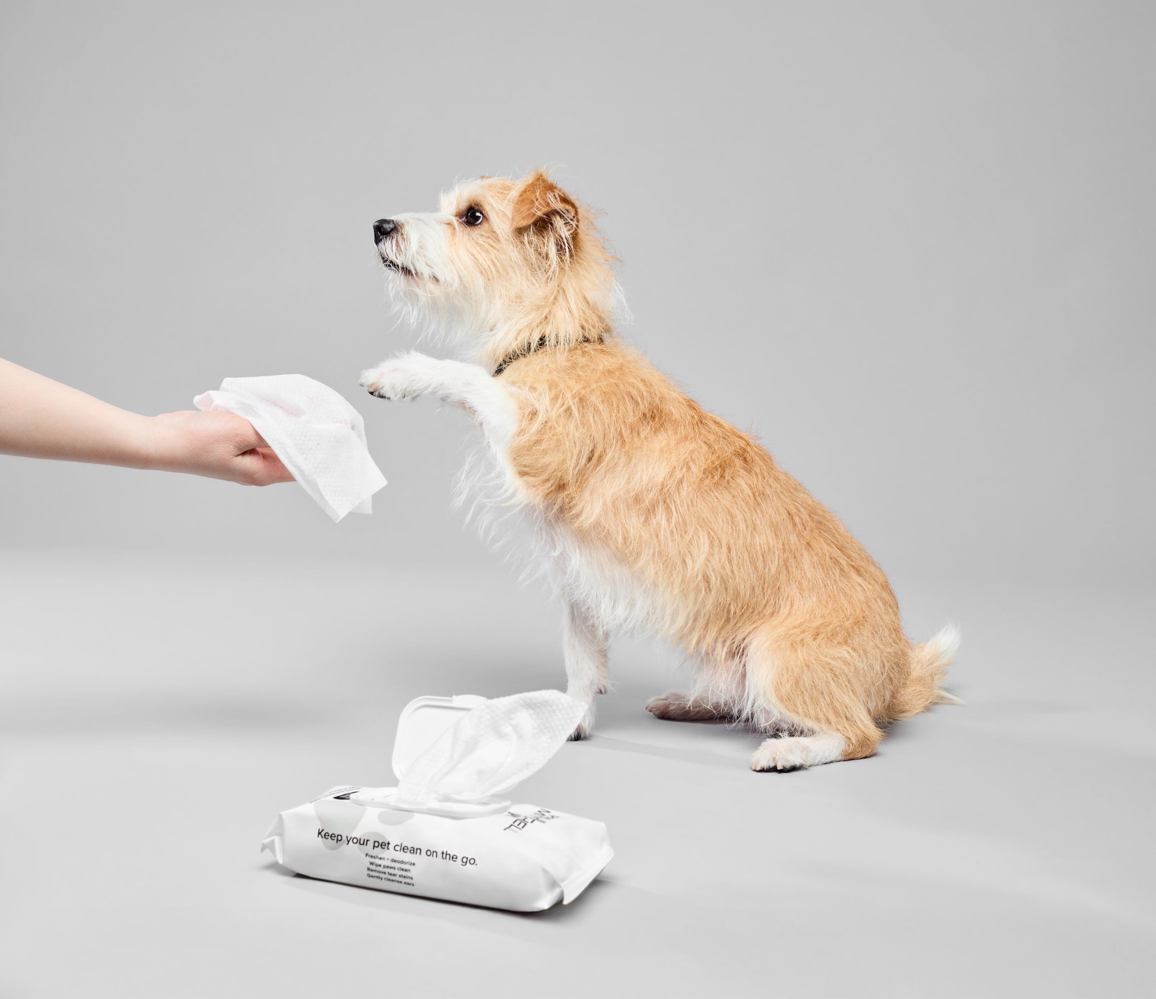 image of the Paul Mitchell Pet Fragrance Free Wipes