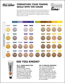 image of Paul Mitchell The Color Strengthen Your Toning Skills One Sheet
