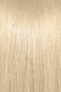 image of a hair swatch for Paul Mitchell the color 10G