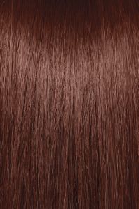 image of a hair swatch for Paul Mitchell the color 4CM