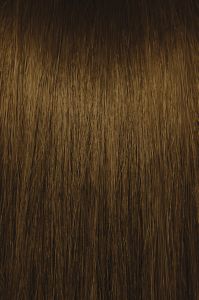 image of a hair swatch for Paul Mitchell the color 4G