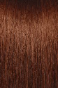 image of a hair swatch for Paul Mitchell the color 4WM
