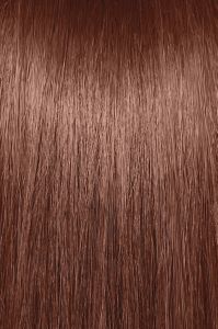 image of a hair swatch for Paul Mitchell the color 5CM
