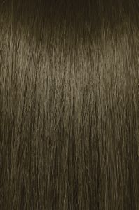image of a hair swatch for Paul Mitchell the color 5NA