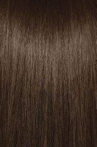 image of a hair swatch for Paul Mitchell the color 5N