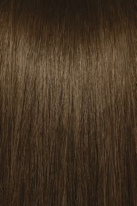 image of a hair swatch for Paul Mitchell the color 5WB
