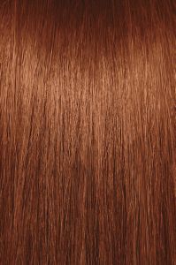 image of a hair swatch for Paul Mitchell the color 5WC