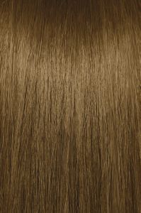 image of a hair swatch for Paul Mitchell the color 6G