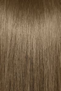 image of a hair swatch for Paul Mitchell the color 7WB