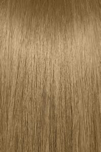 image of a hair swatch for Paul Mitchell the color 8G