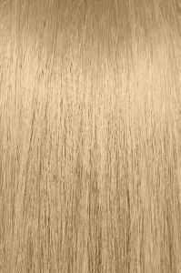 image of a hair swatch for Paul Mitchell the color 9G