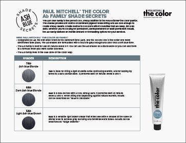 image of Paul Mitchell The Color Ab Family Shade Secrets