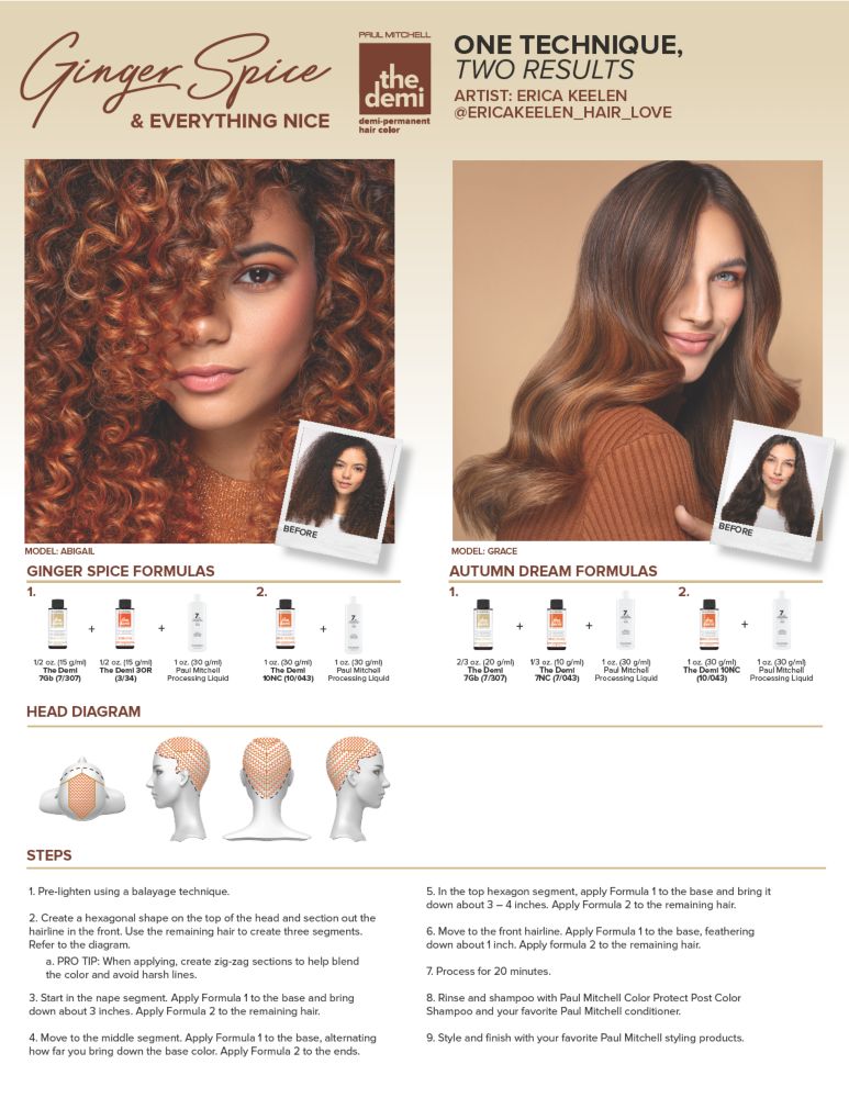 image of The Demi tip card