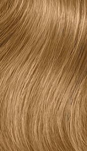 image of a hair swatch for The Demi 7Gb