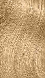 image of a hair swatch for The Demi 9Gb
