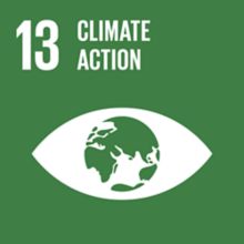 Climate Action Sustainable Development Goal badge
