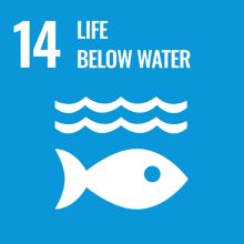 Life Below Water Sustainable Development Goal badge