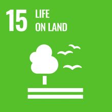 Life on Land Sustainable Development Goal badge