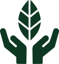 Regenerative roots logo