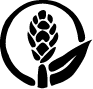 Awapuhi Wild Ginger Logo