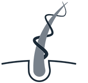 HydraTripex bind icon