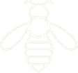 image of bee
