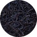 icon of kombucha (black tea ferment)