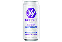 Xyience® Fruit Punch Flavored Energy Drink 16 fl oz - Keurig Dr